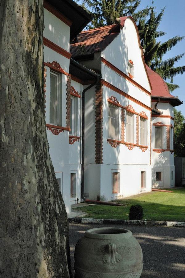 Kastelyszallo Mateszalka Bed & Breakfast Dış mekan fotoğraf