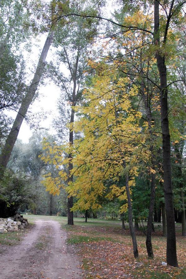 Kastelyszallo Mateszalka Bed & Breakfast Dış mekan fotoğraf